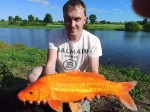 Под Новосибирском рыбак поймал трех «золотых рыбок»