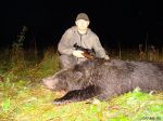 Охота на медведя в охотничьем хозяйстве 